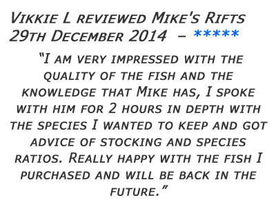Mikes Rifts Review 6